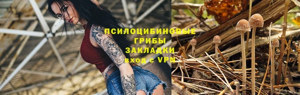 прущая мука Белокуриха