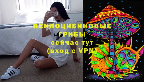 бошки Богданович