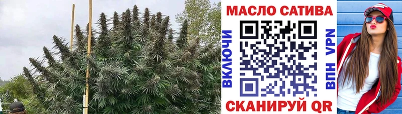Купить где  Людиново  Дистиллят ТГК Wax 